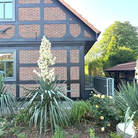 Villa House Ternsche